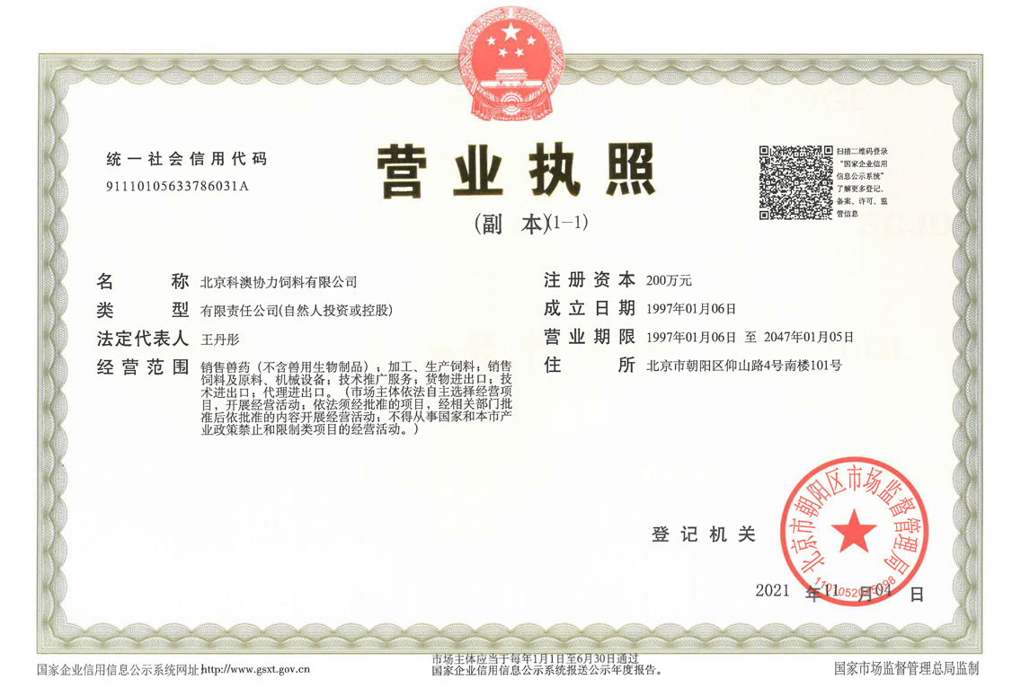 business license business license